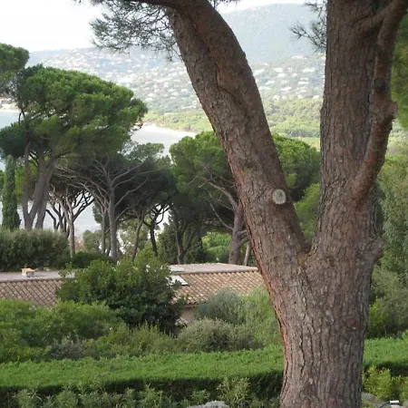 Villa De 250 M², Climatisee, Sur 2 Niveaux Au Bord De L'Eau - Fr-1-100-243 Willa Cavalaire-sur-Mer